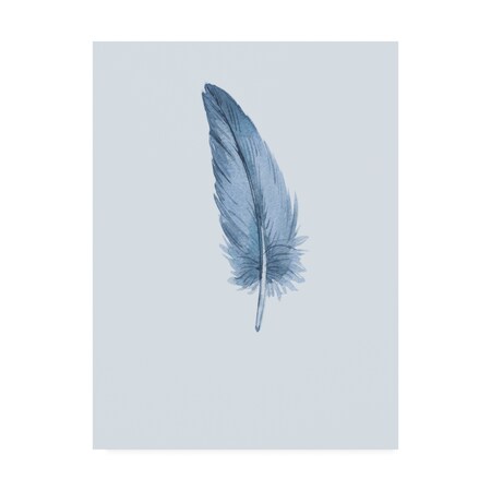 Incado 'Feather 01' Canvas Art,35x47